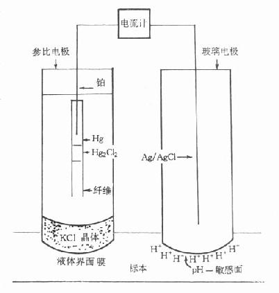 pH缫ṹʾͼ