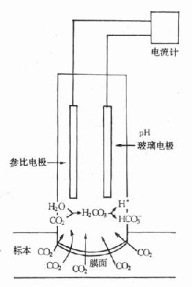 PCO2缫ṹʾͼ