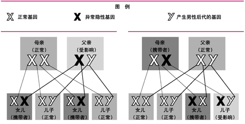 쳣XԻŴ