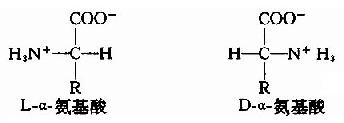 L--(L--amino acid)ṹͨʽ